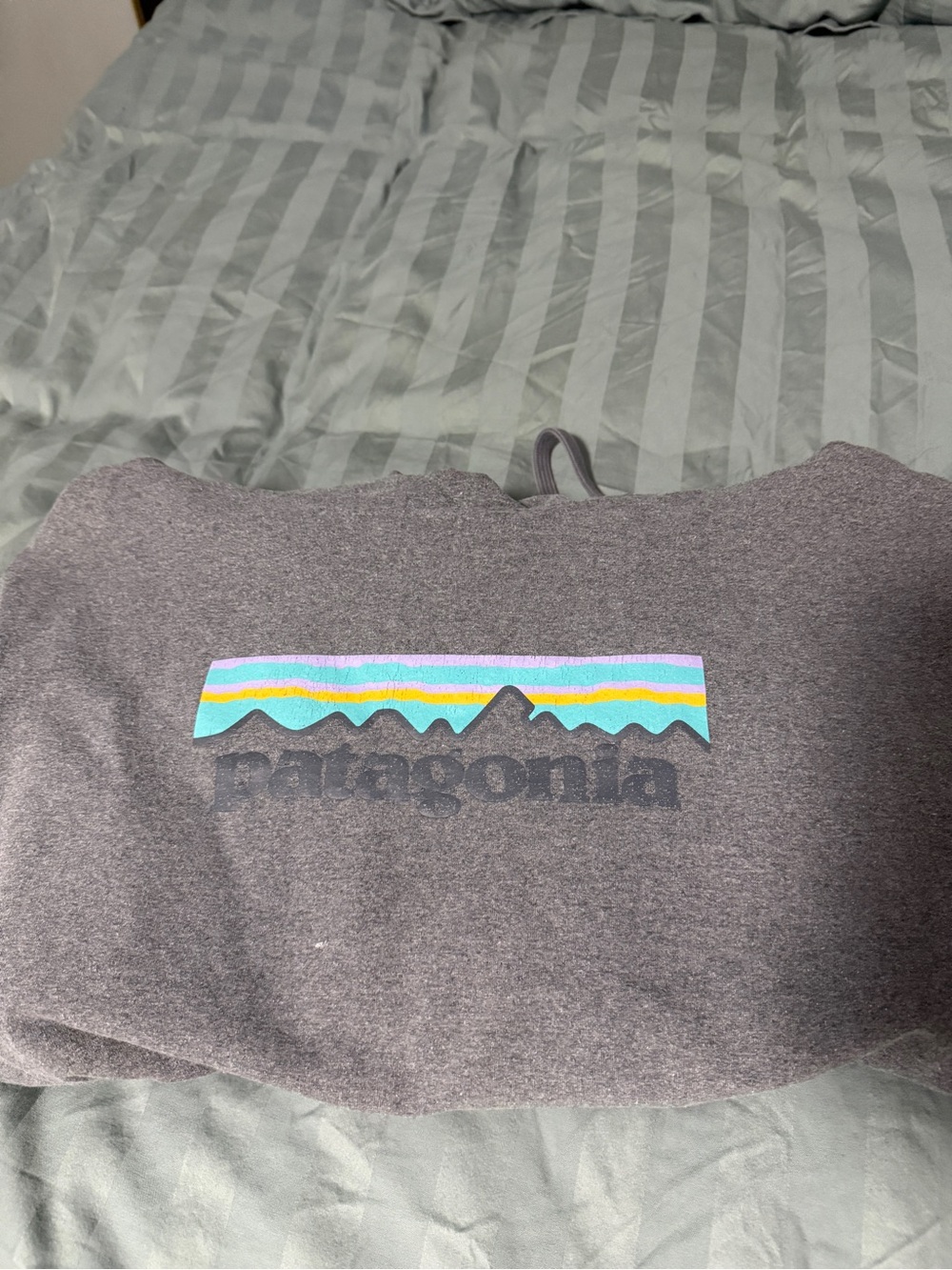 Patagonia Heather Gray Logo Hoodie with Pockets